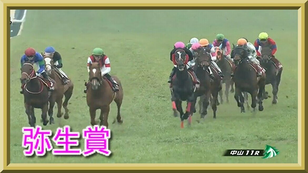 競馬　弥生賞　レース結果動画　2020年