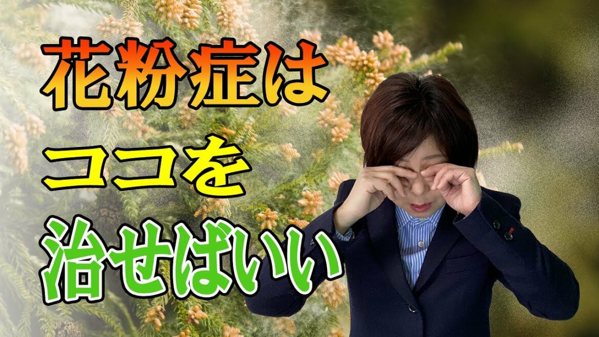 【花粉症 治す方法】花粉症はココを治せばいい