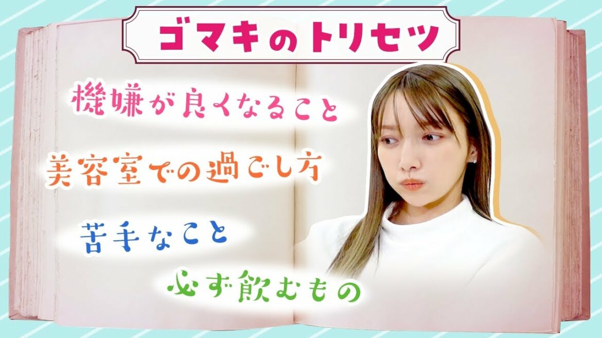 【トリセツ】ゴマキの取扱説明書はこちらになります！最新版