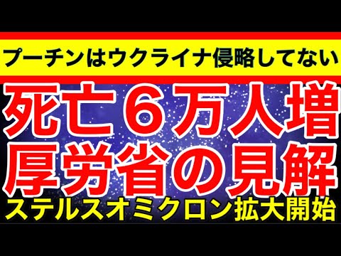 すずぽん News Wacoca Japan People Life Style