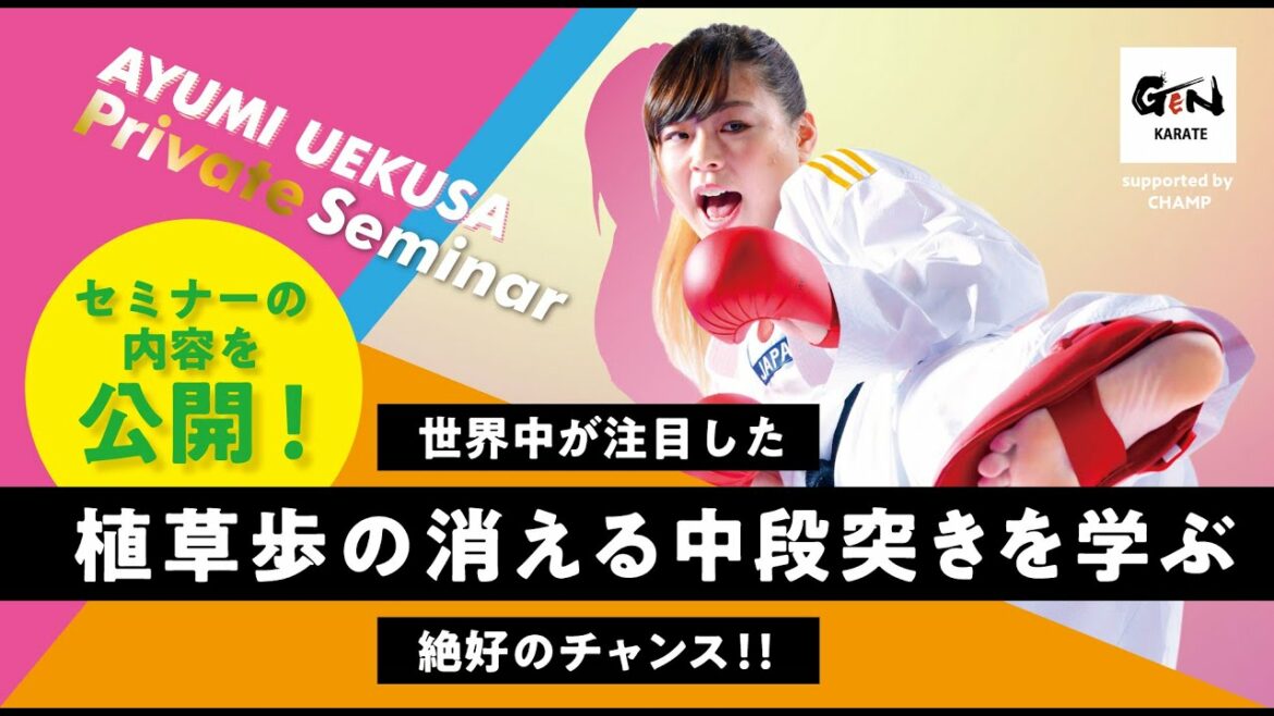 GEN空手 【植草歩】プライベートセミナー 01 消える中段突き GEN空手 【植草歩】プライベートセミナー 01 消える中段突き