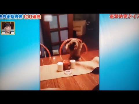 世界衝撃映像100連発 Youtube News Wacoca Japan People Life Style