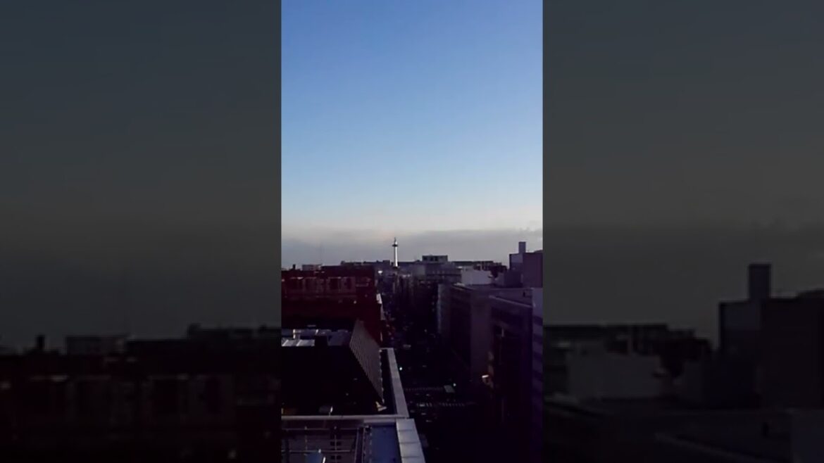 2022/2/24　【ウクライナ危機】やっぱり高市早苗は無能だった。【エネルギー危機】