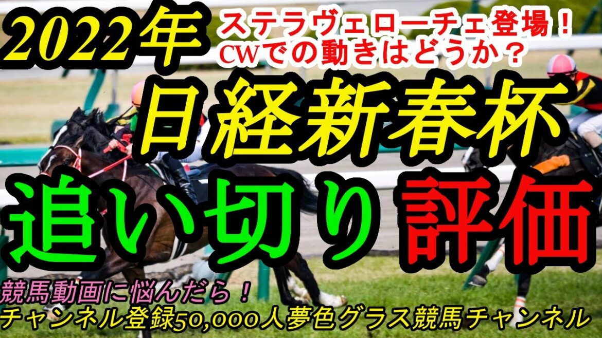 【最終追い切り評価】2022日経新春杯！ステラヴェローチェ登場！冬のハンデ戦は穴馬にも注意ではあり