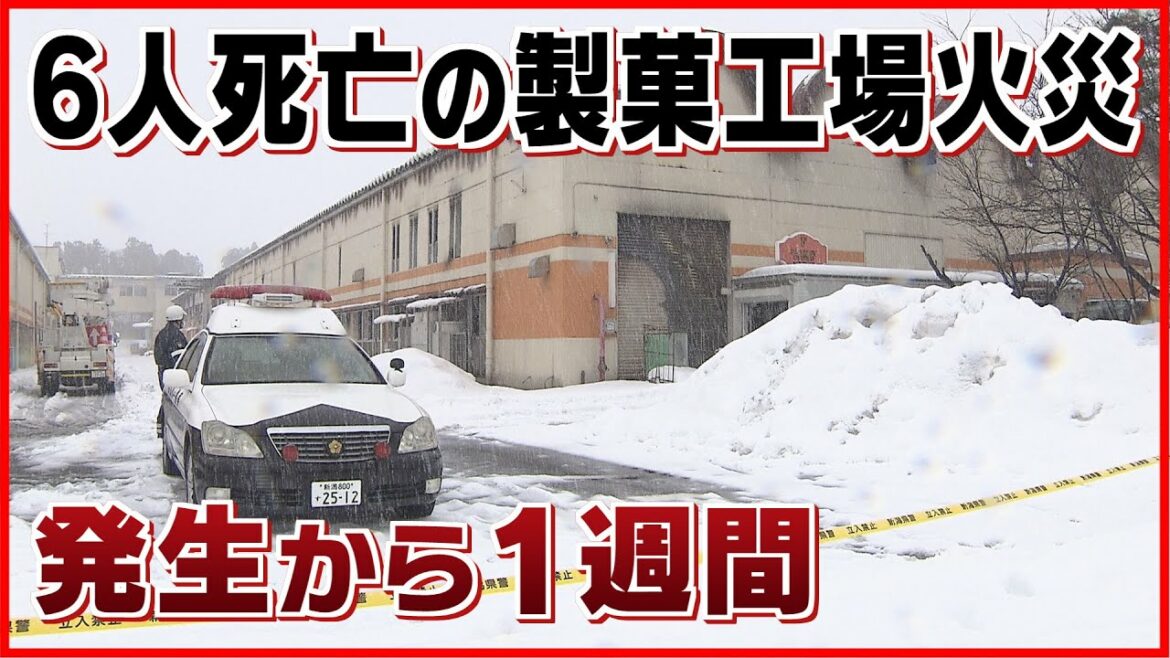 【深夜の工場火災から1週間】6人死亡の火災現場 当時の様子が少しずつ明らかに…《新潟》 【深夜の工場火災から1週間】6人死亡の火災現場 当時の様子が少しずつ明らかに…《新潟》