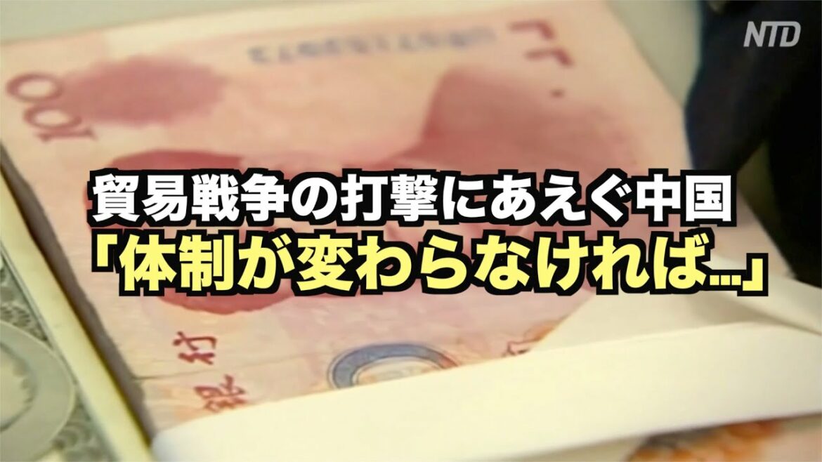 貿易戦争の打撃にあえぐ中国「体制が変わらなければ…」|中国経済|米中貿易戦争 貿易戦争の打撃にあえぐ中国「体制が変わらなければ…」|中国経済|米中貿易戦争