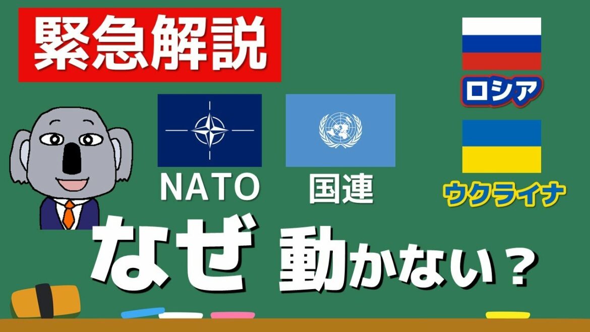 【ウクライナ情勢】NATOと国連はなぜロシアの侵略を止められないの？