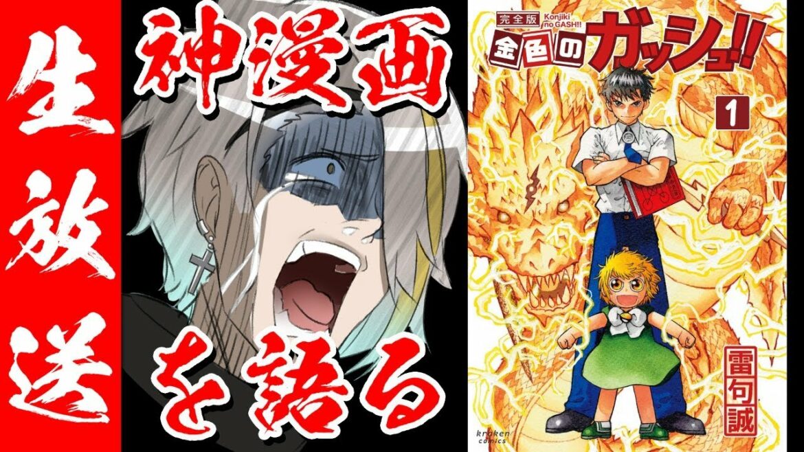 【ネタバレ超注意】金色のガッシュ全巻読んだ！！この感動を伝えたい！！ガッシュ好きも集まれ！！！！【歌衣メイカ】