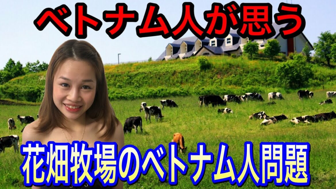 【ベトナム人が思う】花畑牧場のベトナム人問題🇻🇳