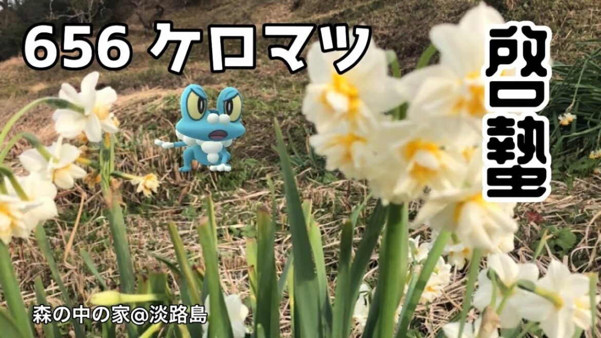 【ポケGO動くポケモンずかん】656ケロマツ|啓蟄(けいちつ)|二十四節気|水仙|森の中の家@淡路島|Froakie|AR動画 【ポケGO動くポケモンずかん】656ケロマツ|啓蟄(けいちつ)|二十四節気|水仙|森の中の家@淡路島|Froakie|AR動画