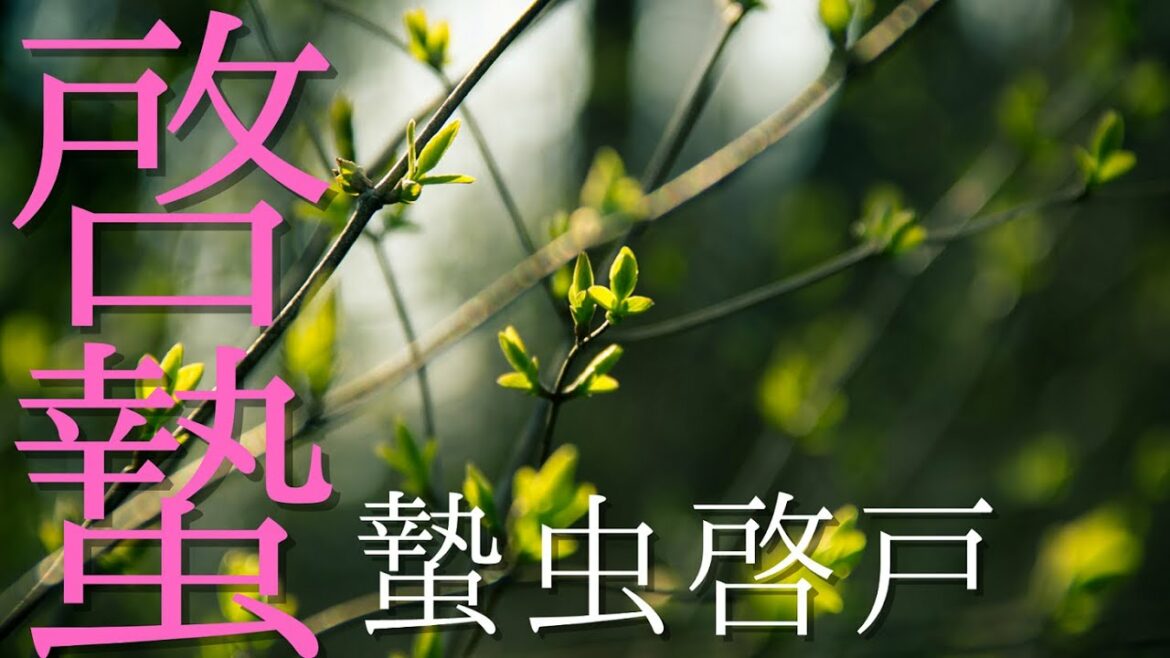 【二十四節気、七十二候】啓蟄｜蟄虫啓戸【暮らしのブログ】