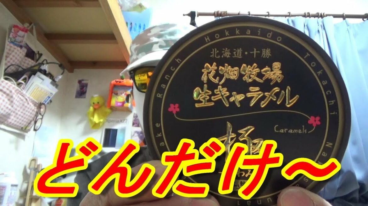 【北海道・十勝】花畑牧場生キャラメル極手作り