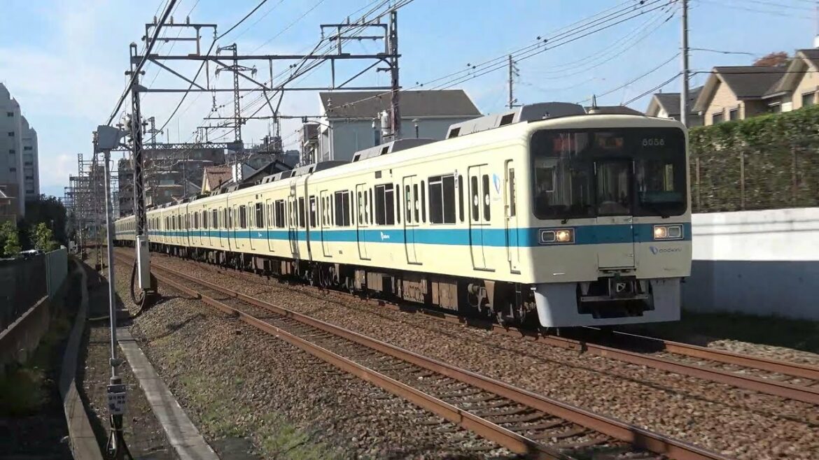 【小田急線撮影記2021.11.06】鶴川～柿生 通過集