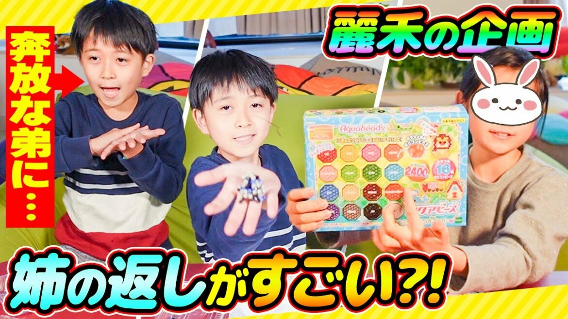【持ち込み企画】お姉ちゃんがやりたかった企画‼︎自由な弟に姉どうする⁉︎