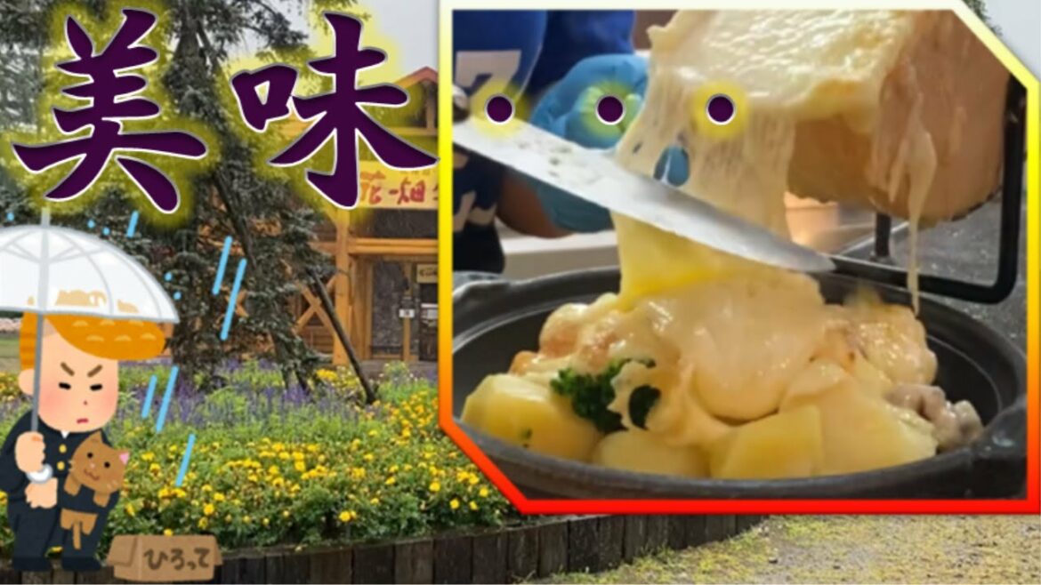【旅行】悪天候で採集中止！花畑牧場を満喫しました。砂金探し②【飯テロ】
