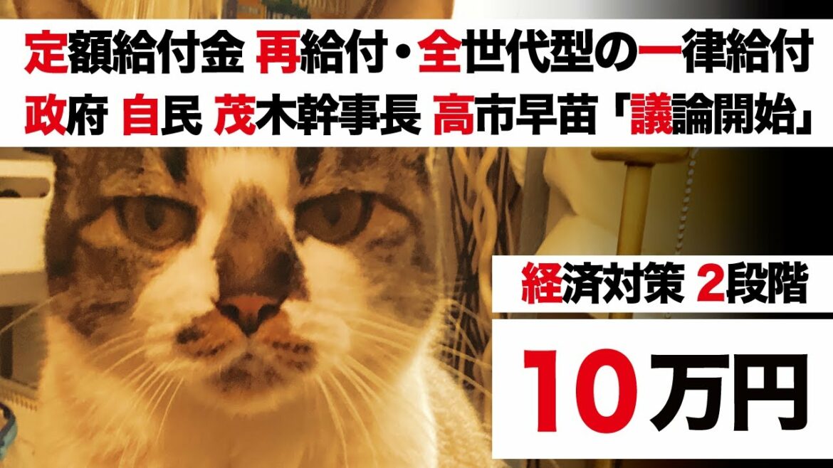 【特別定額給付金 再給付・全世代型 一律給付】岸田総理「来月末までに」自民党 茂木幹事長 高市早苗「2段階の経済対策 議論開始」立憲民主党「4月早々に 補正予算編成を」