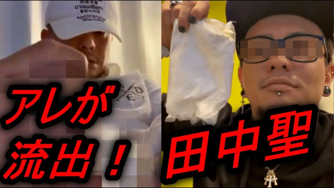 【田中聖ch】アレの動画が流出！！元交際女性A子がヤバすぎ....覚せい剤、歌ってみたなど【田中家】