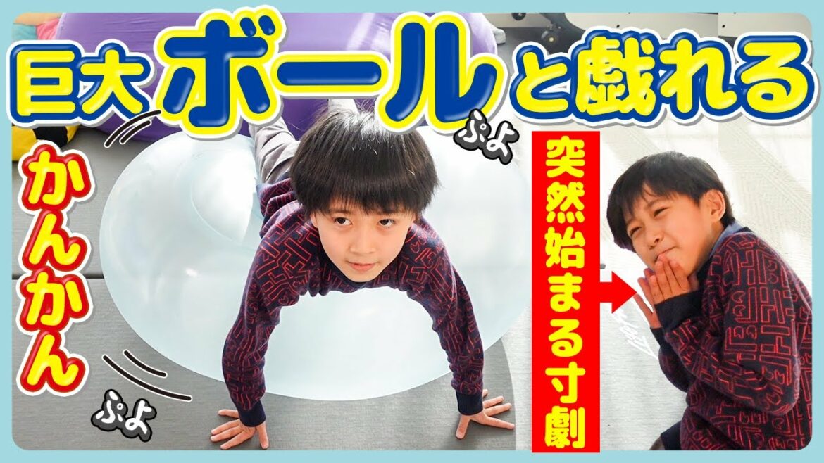【癒し】かんかんとボールw