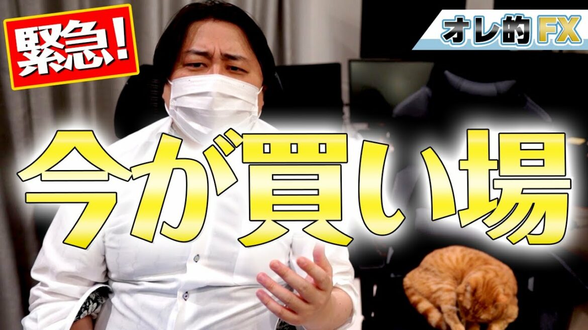【緊急】株は今が買い場だ！！