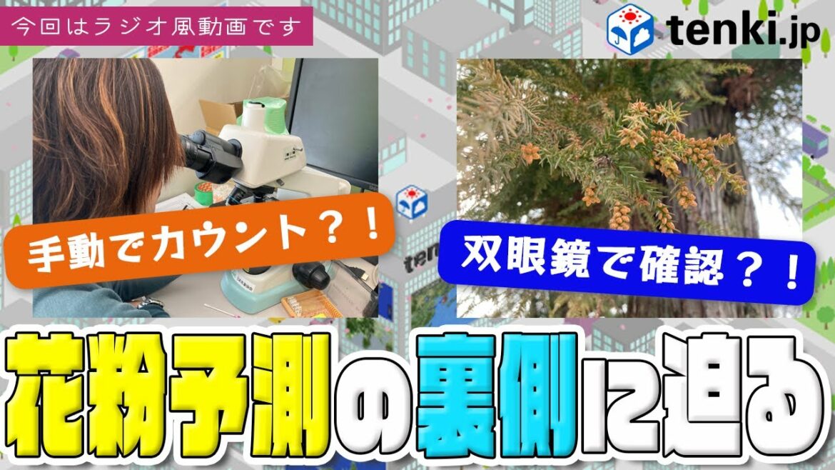 【花粉】スギ花粉予測の裏側をご紹介！