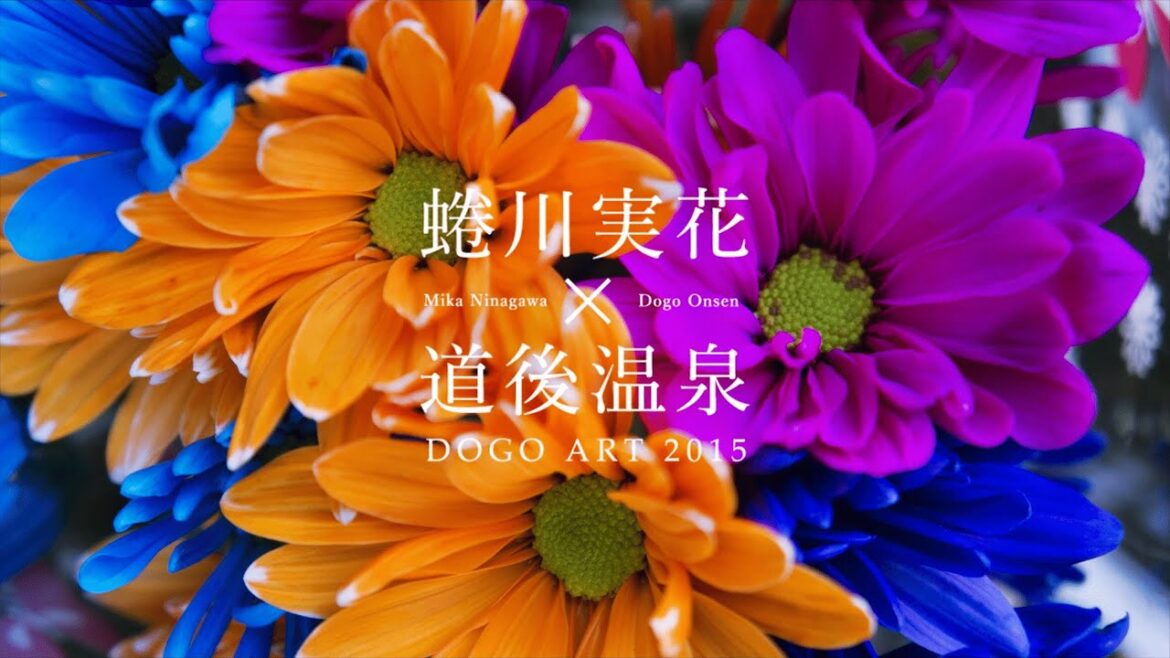 【道後オンセナート2015】蜷川実花×道後温泉