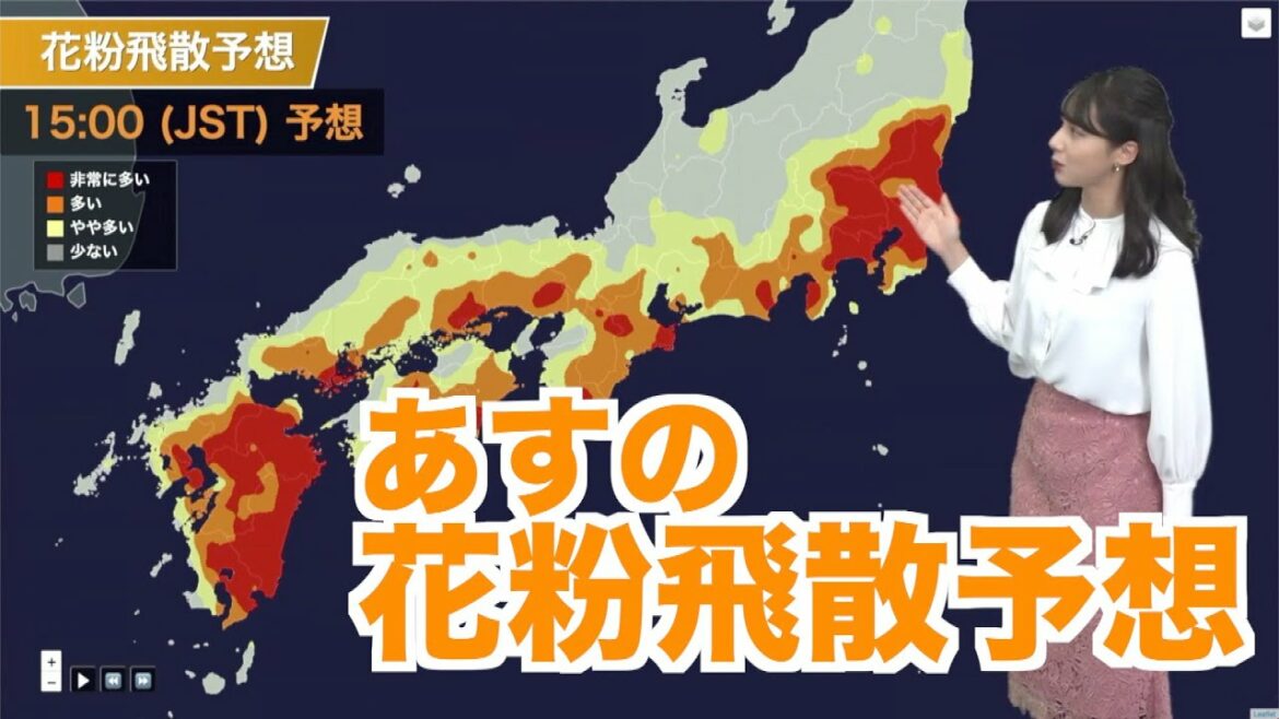 【3月6日(日)の花粉飛散予想】関東で”非常に多い”予想 西日本も対策を