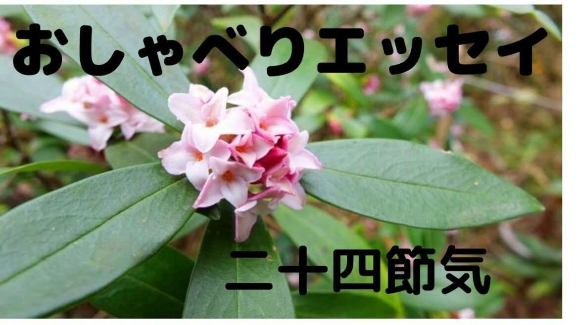 おしゃべりエッセイ【二十四節気】啓蟄(けいちつ)