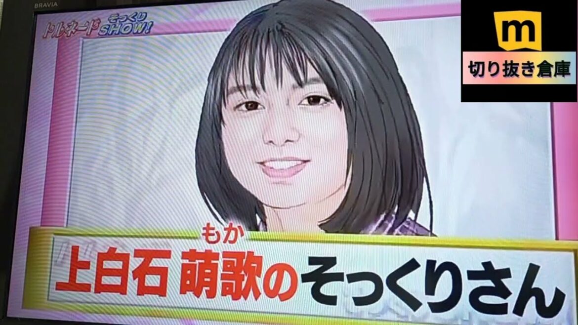 上白石萌歌 顔だけそっくりさん