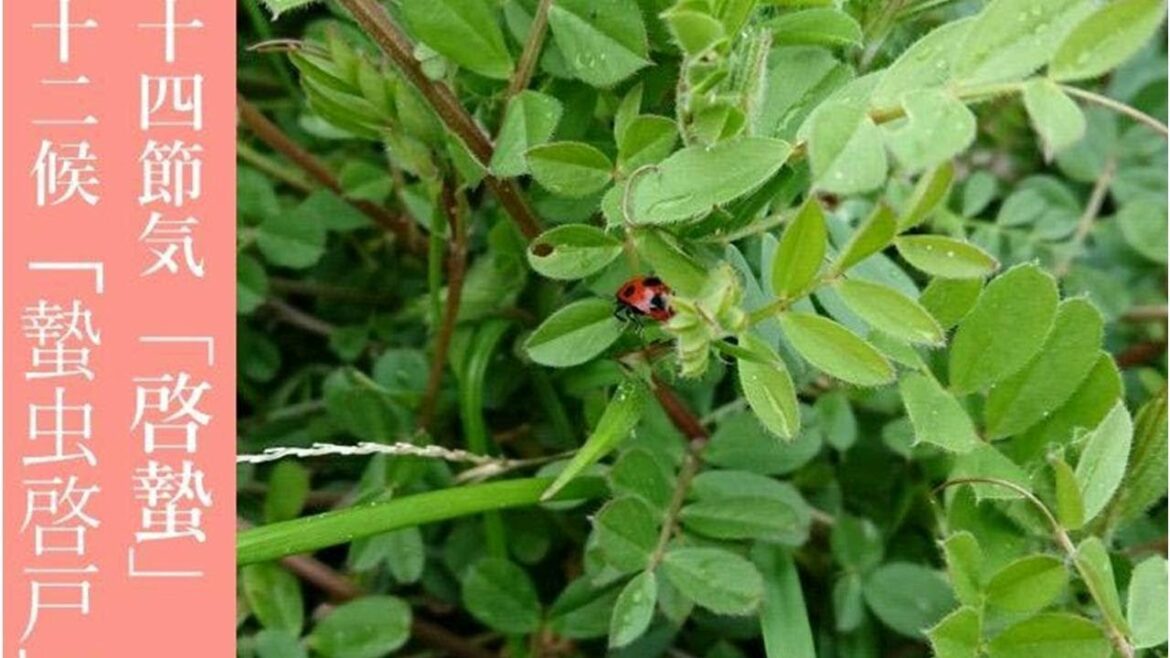 二十四節気「啓蟄（けいちつ）」 虫や動物が冬ごもりを終える頃