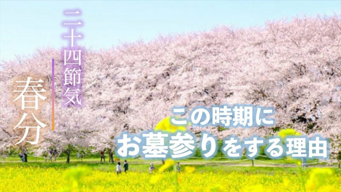 二十四節気「春分」この時期にお墓参りをする理由