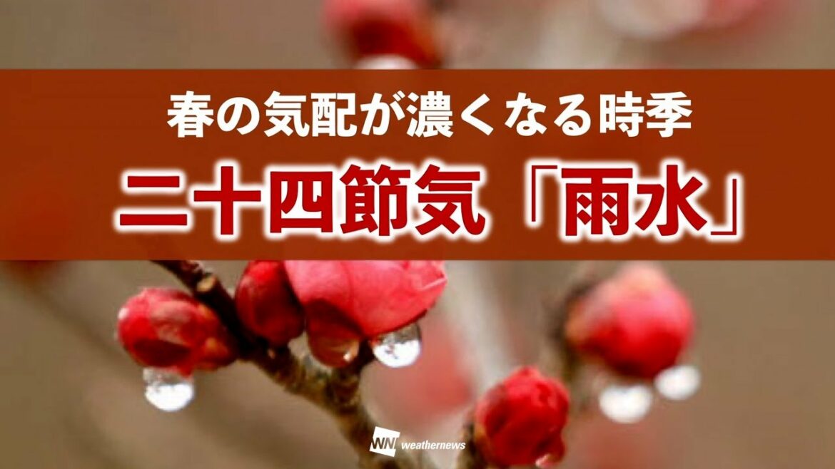 二十四節気「雨水」／春の気配が濃くなる時季