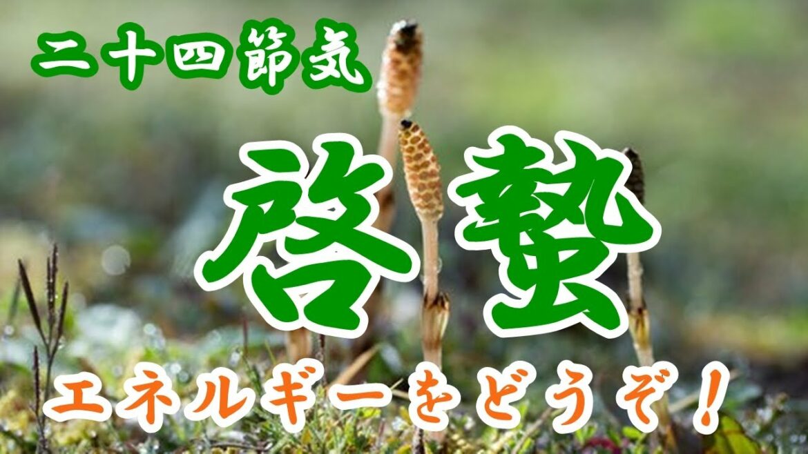 二十四節気【啓蟄】土の中に隠れていた生き物が動き始める季節。エネルギーが湧き出る季節の健康情報をどうぞ！