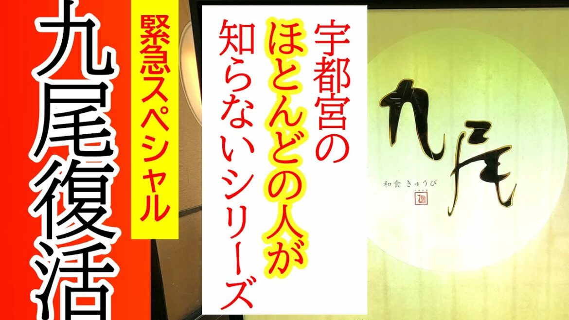 伝説の九尾の狐が復活！那須の殺生石がマジで割れてしまったよ緊急スペシャル！一般道から無料で入れるサービスエリア！ンまくて楽しくて最高だってばよ！和食 九尾【宇都宮市今里町】