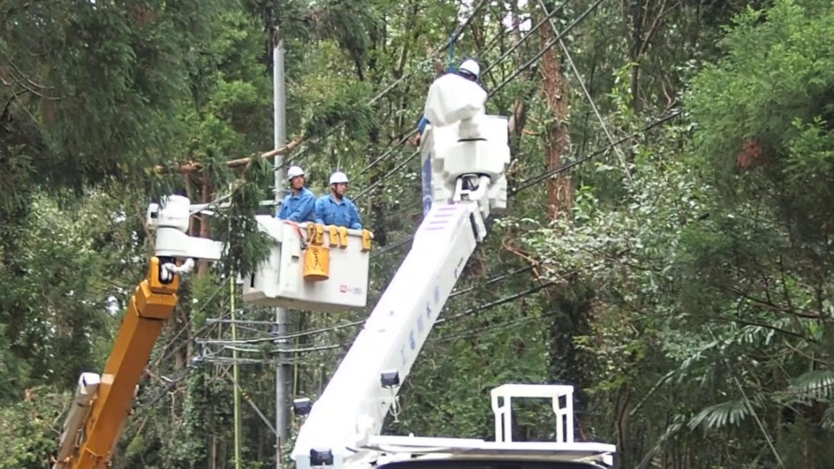 千葉県停電の復旧作業　倒木の処理