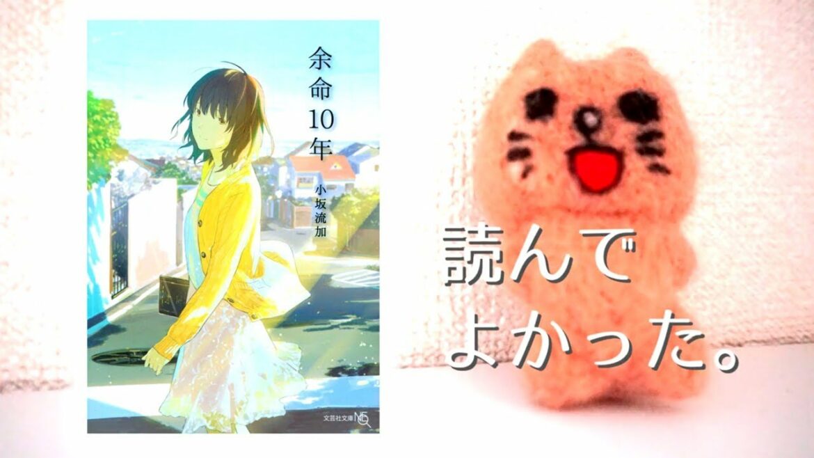 小説「余命10年」読むの辛すぎたけど読んでよかった件。紹介&感想【ネタバレなし】