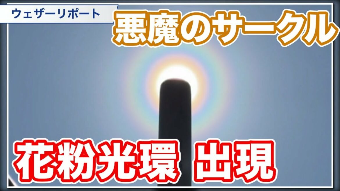 悪魔のサークル　花粉光環が関東で出現