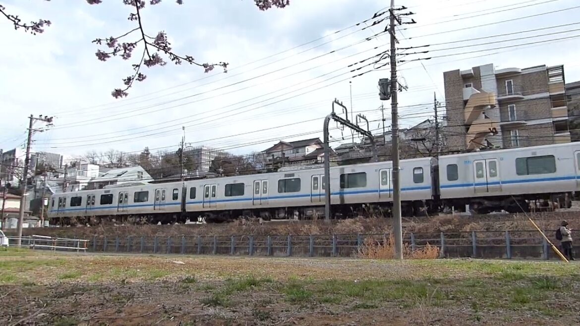 意外な所に河津桜in小田急線生田