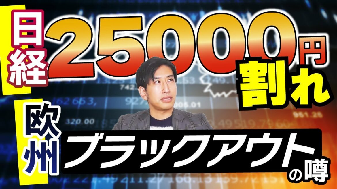日経平均株価、久し振りに25000円割れで総悲観。迫るスタグフレーション！迫る欧州ブラックアウト？