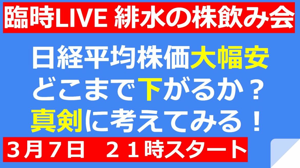 日経平均株価がどこまで下がるか真剣に考える【緋水の株ちゃんねる】