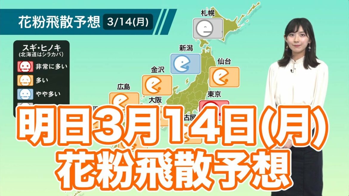 明日3月14日(月)の花粉飛散予想