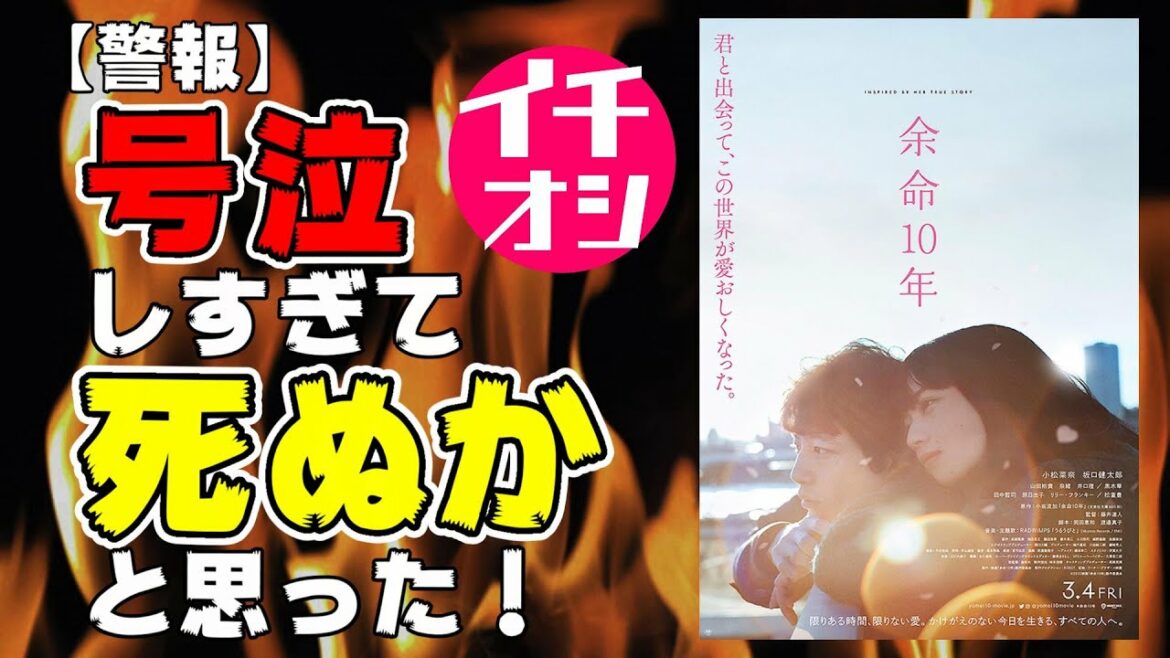 映画『余命10年』マジで号泣警報発令映画【映画レビュー】【小松菜奈】【坂口健太郎】【RADWIMPS】