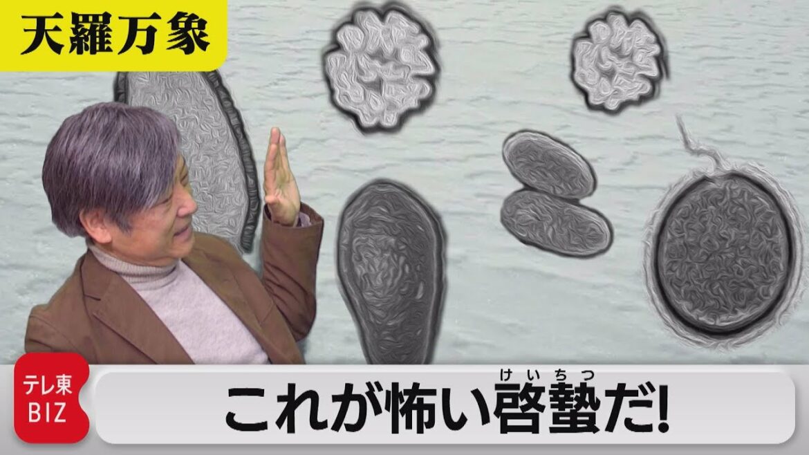春を迎えるのは動物だけじゃない…？これが怖い啓蟄だ！【久保田解説委員の天羅万象】(68)（2022年3月4日）