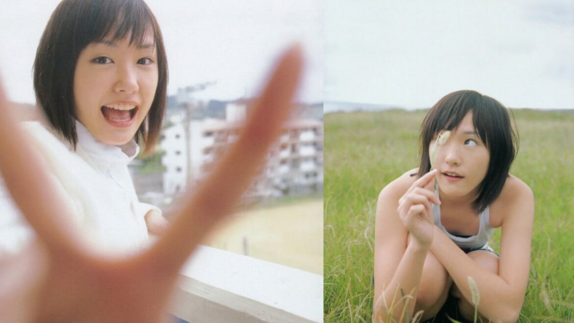 自製新垣結衣のMAD