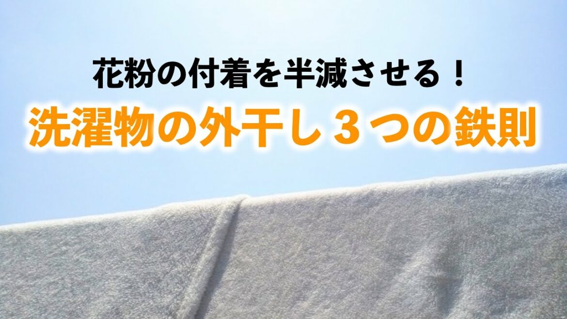 花粉の付着を半減させる 洗濯物の外干し３つの鉄則