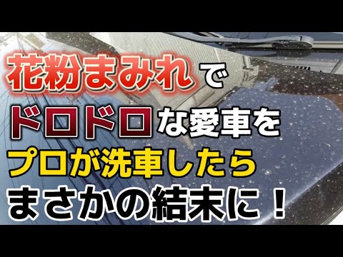 花粉まみれのクルマを3週間ぶりにプロが洗車!これを見れば、花粉汚れも怖くない!【エスクァイアフル洗車】 花粉まみれのクルマを3週間ぶりにプロが洗車!これを見れば、花粉汚れも怖くない!【エスクァイアフル洗車】