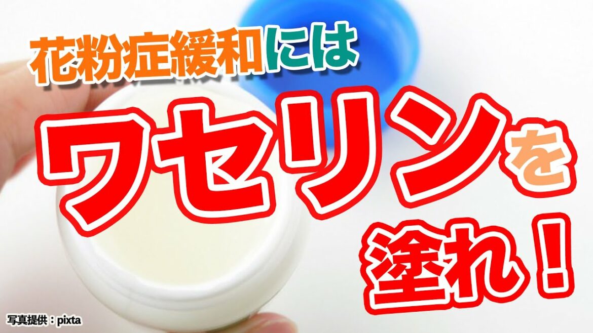 花粉症緩和に　目や鼻の周囲にワセリン塗布で吸引を減らす
