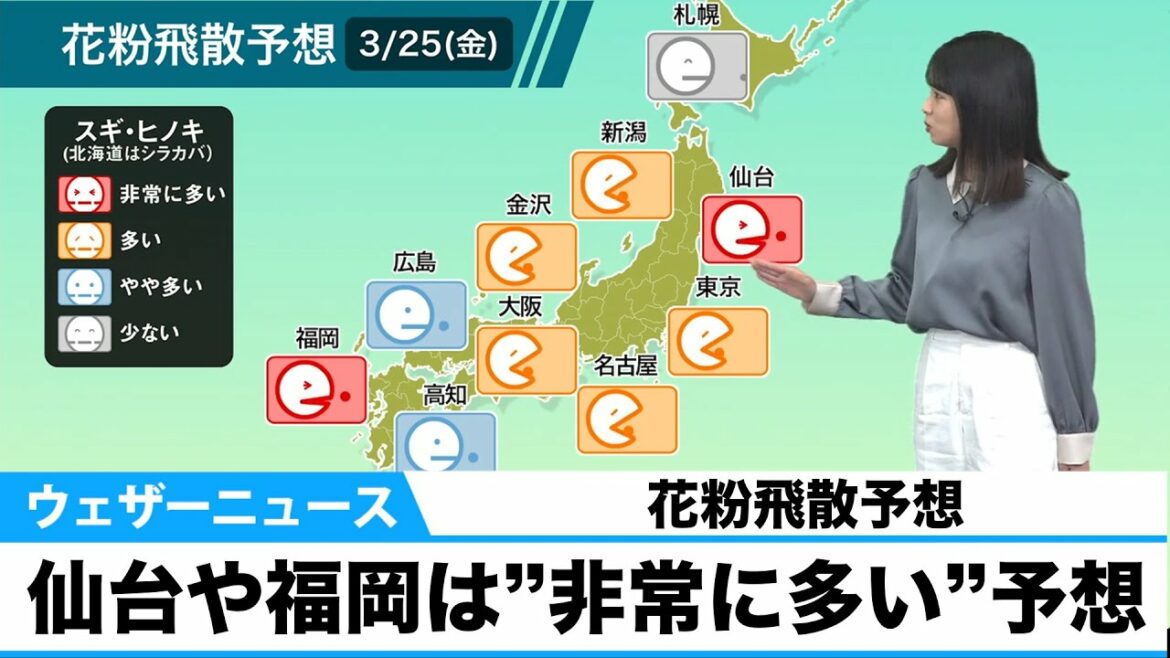 花粉飛散予想 仙台や福岡は”非常に多い”予想