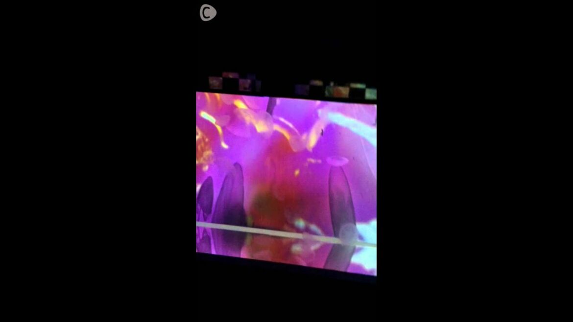 蜷川実花さんプロデュース！クラゲ万華鏡トンネル歩いてきた！　のぞみ　C CHANNEL