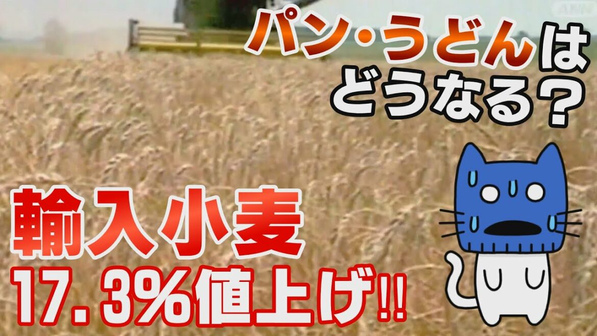 輸入小麦が過去2番目の高値に！ウクライナ情勢が影響、パンもうどんも値上げか・・・【マスクにゃんニュース】