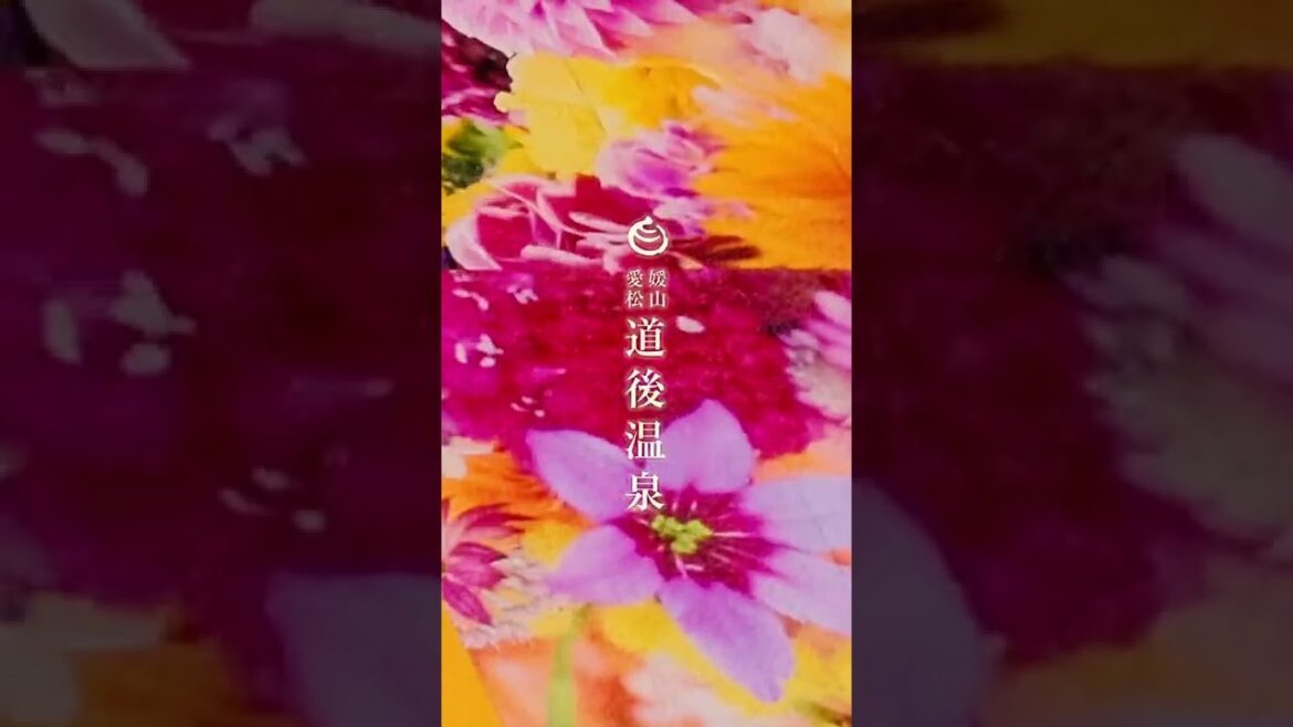 道後温泉別館 飛鳥乃湯泉では、蜷川実花さんの作品展示や、入浴券のリニューアル、オリジナルステッカーのプレゼントを実施しております！ #Shorts